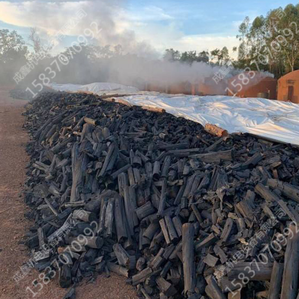 木炭环保设备 (2)